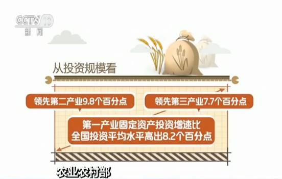 粮食生产基础较好 乡村建设扎实推进——透视上半年农业农村经济走势