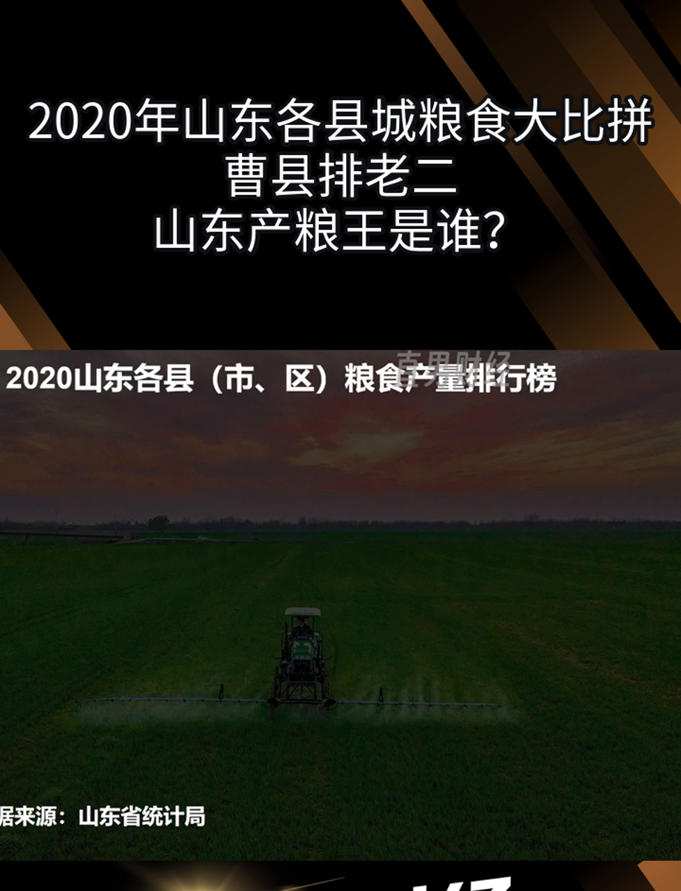 挖潜“无形粮田”——山东全链条节粮减损观察