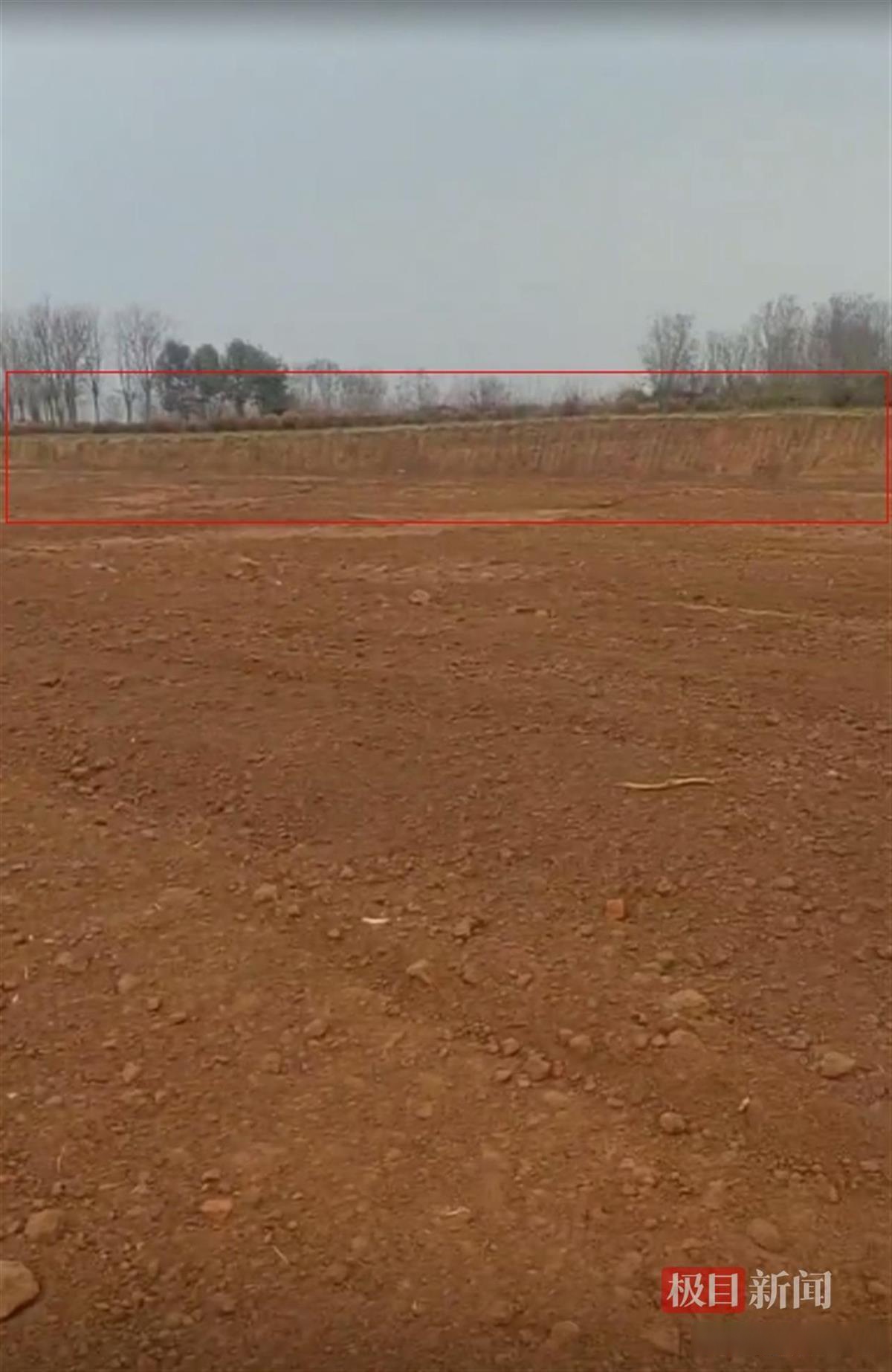 挖潜“无形粮田”——山东全链条节粮减损观察