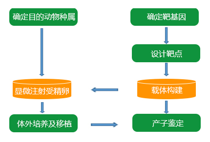 约20家A股公司涉足基因编辑领域