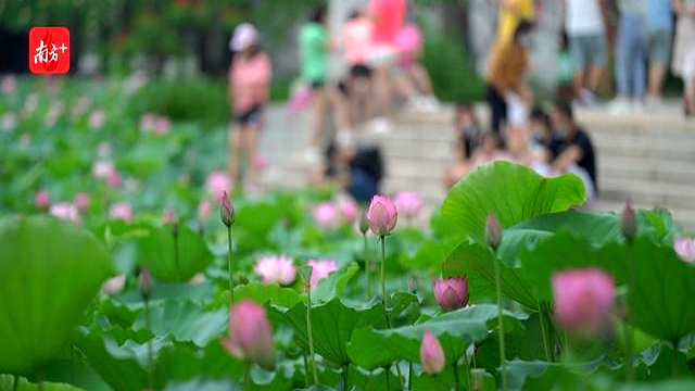 避暑需求撬动县域游“清凉”出圈