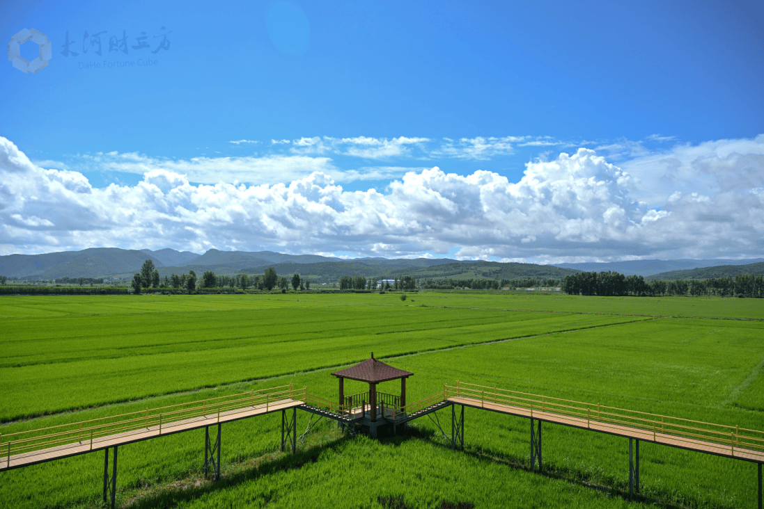 活力中国调研行|一块煤炭的绿色“变形”记