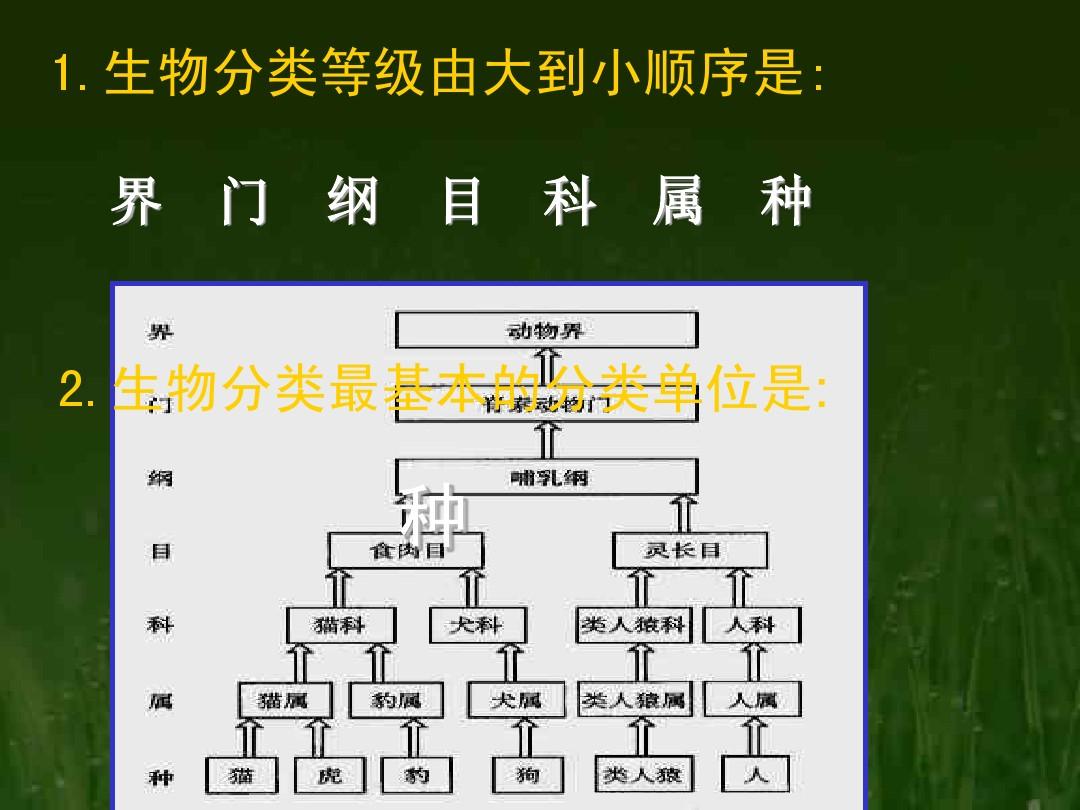 “科八条”下已现百单并购 上市公司发力全链条整合