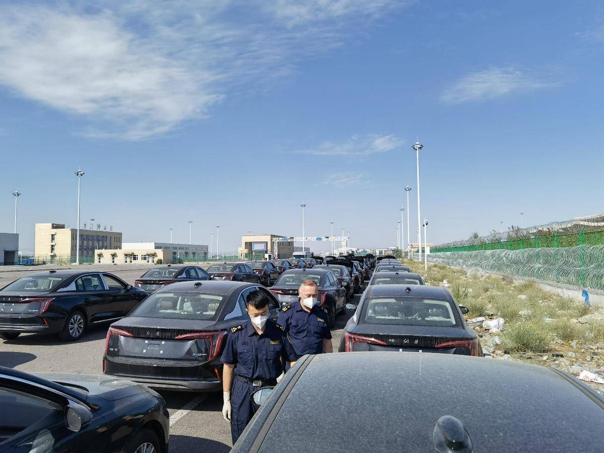 第一观察·瞬间丨“合”力向前:上合大家庭的团结与力量