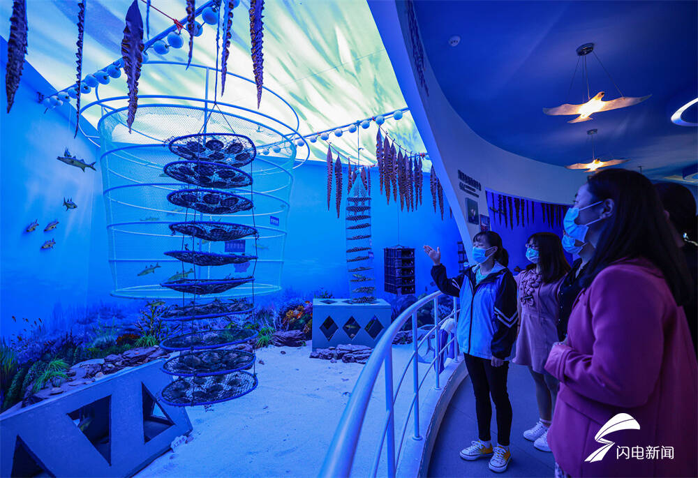 金融“鱼群”游进蓝色牧场:青岛海洋经济新养殖记