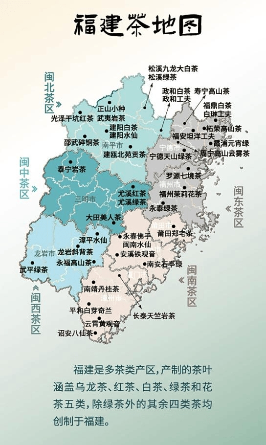 中国经济样本观察·县域样本篇丨在这座闽南小城，最传统的茶业正发生最新锐的变化！