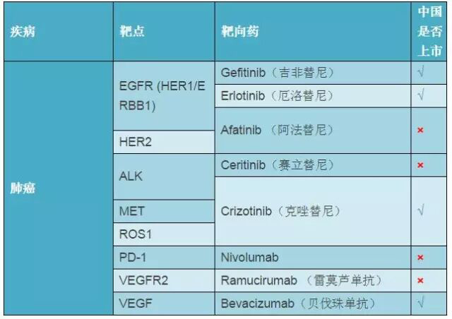全球首个HER2突变晚期非小细胞肺癌口服靶向药圣赫途在华获批