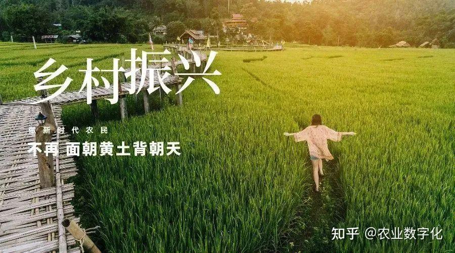 “十四五”身边事|农村电商,物流“链”动致富路