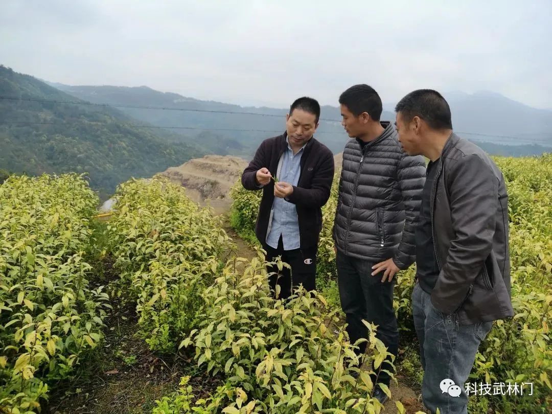 天工国际总裁朱泽峰：以科技创新驱动高端转型