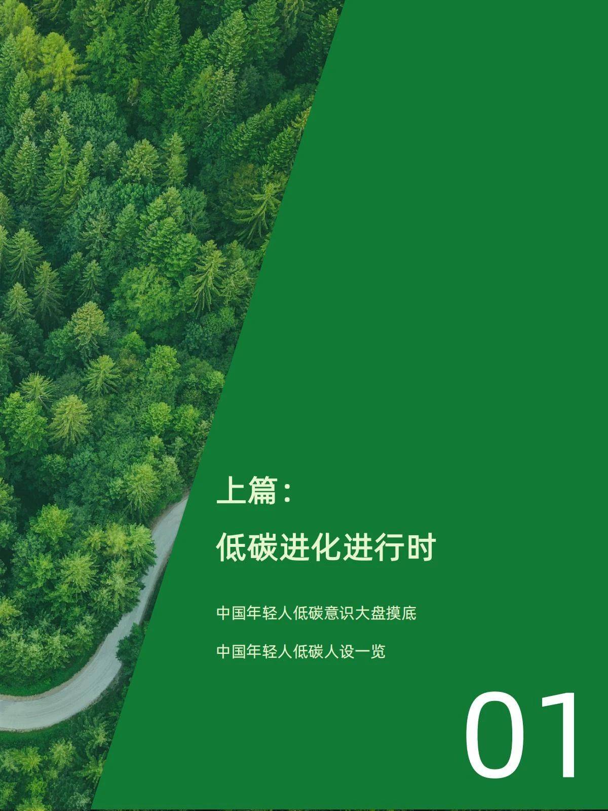【低碳中国】刘锋：中国绿色金融进入标准精细化、资本穿透化、治理立体化新阶段