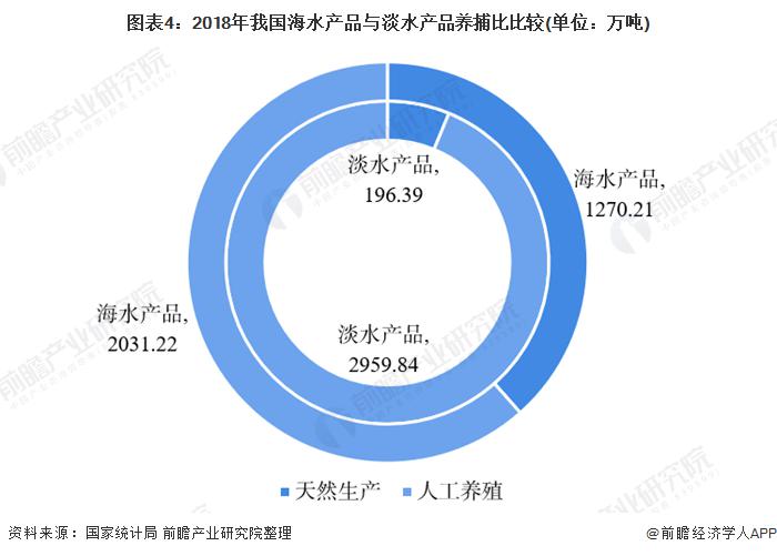 水产品总量近3600万吨 现存渔业相关企业超84.5万家