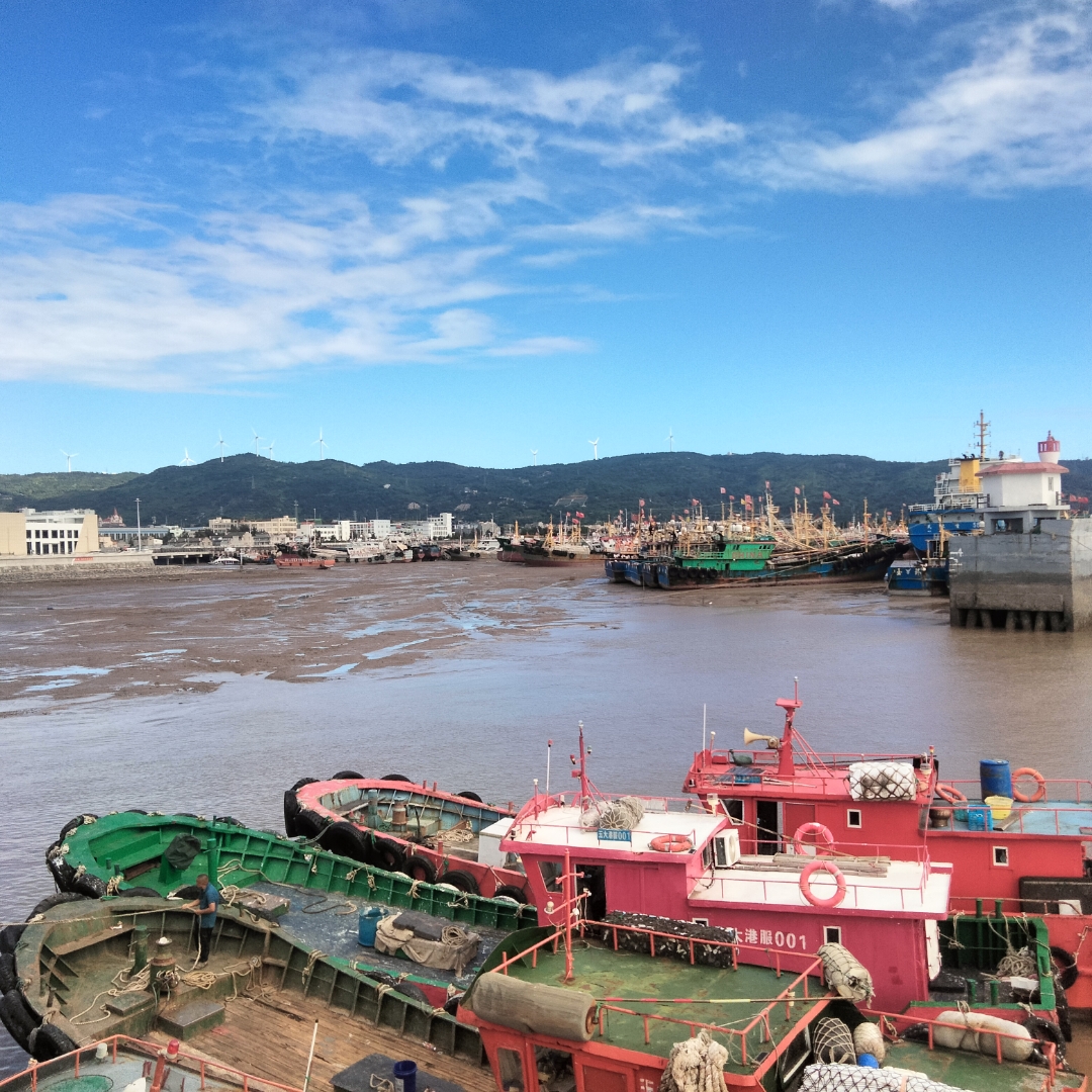 第一观察|“大船”之喻饱含深意