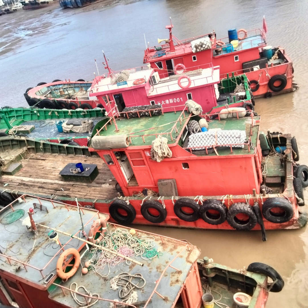 第一观察|“大船”之喻饱含深意