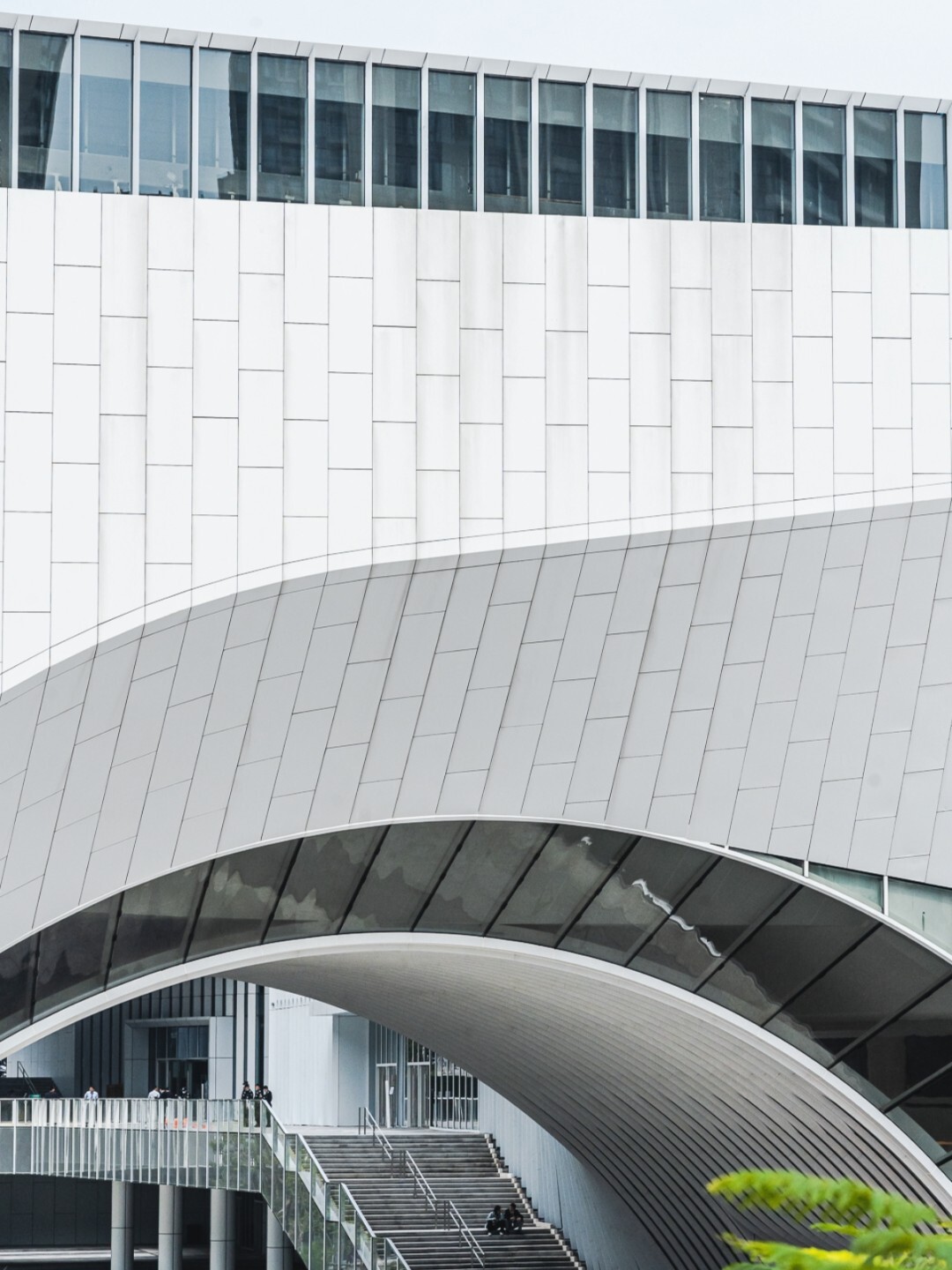 学习快评丨深圳之约开启亚太合作新航程