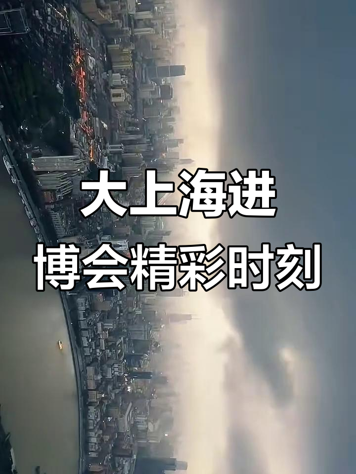 开放中国·进博时刻|从进博会之“新”解读中国市场机遇