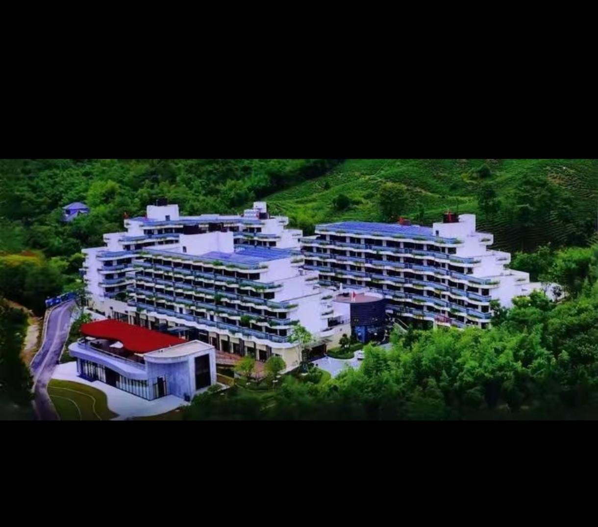 30周年之际股价跌停,达实智能回应董事长遭立案管护