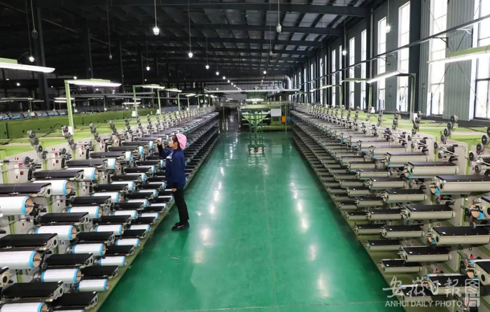 一诺威总经理李健：瞄准聚氨酯赛道深耕细作 新材料“锻造”新未来