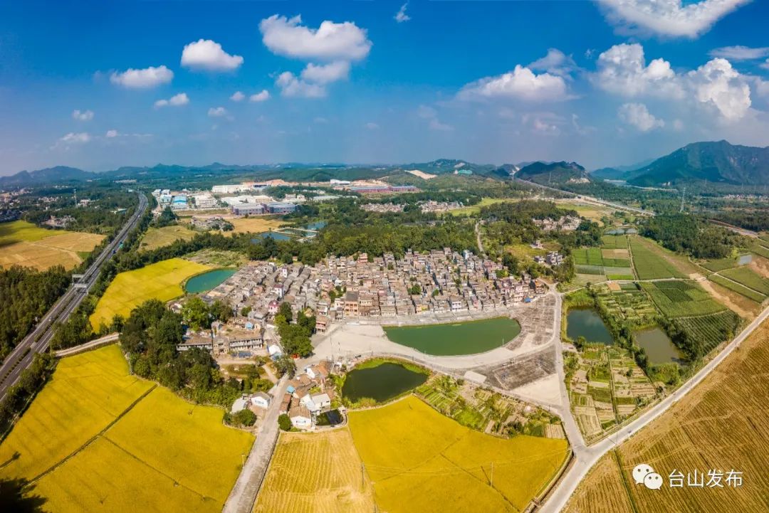 新洁能:从技术破局到生态共赢 为产业升级注入澎湃动能