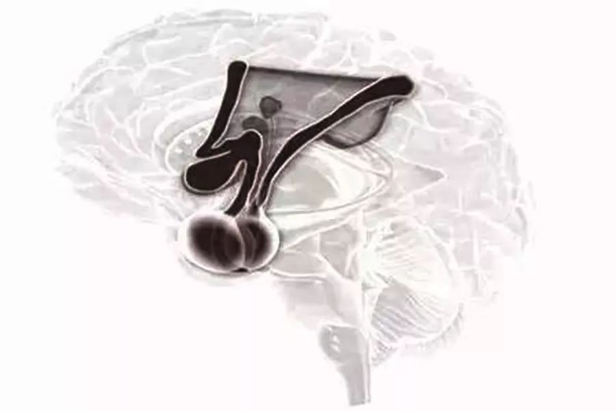 长春高新：口服小分子生长激素促分泌药物GS3-007a干混悬剂临床试验申请获批