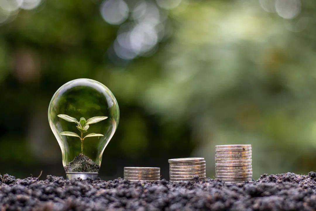 地方积极布局 抢抓中国东盟合作升级机遇——绿色贸易、数字经济等新兴领域潜力巨大