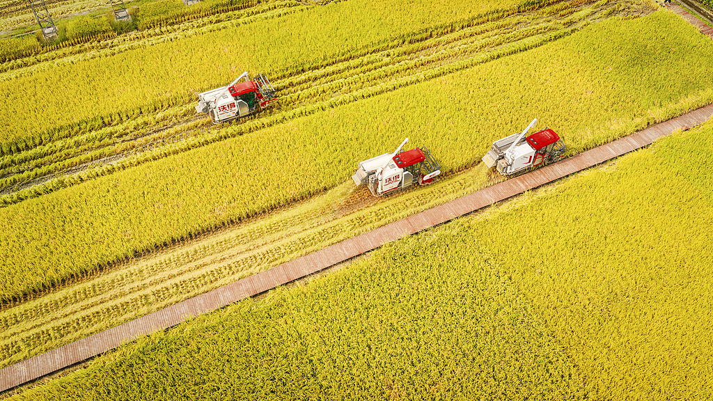 “十四五”时期我国年均粮食收购量在4亿吨以上