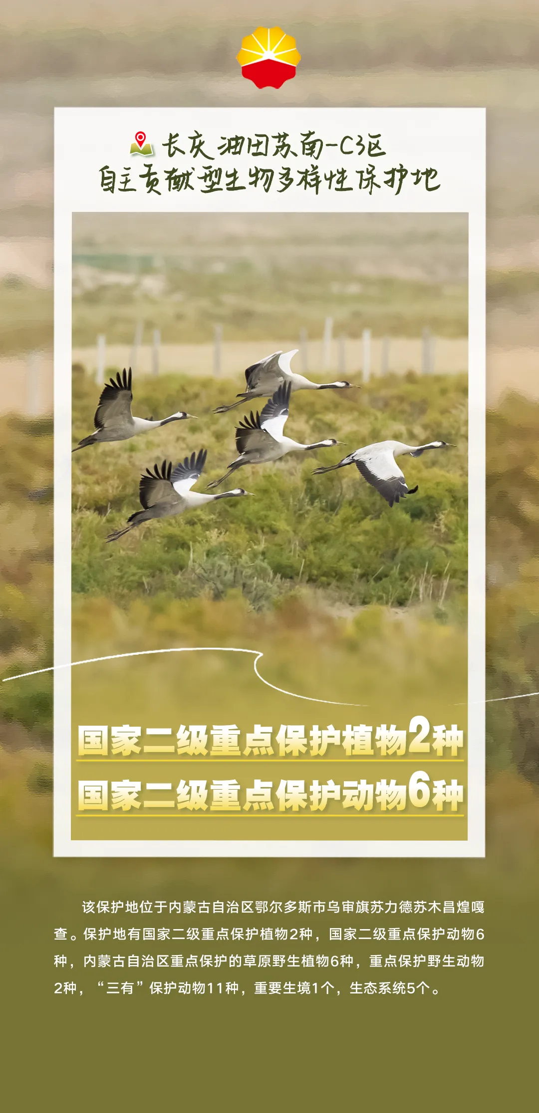 为强国建设注入澎湃动能——从高交会看中国式现代化的创新注脚