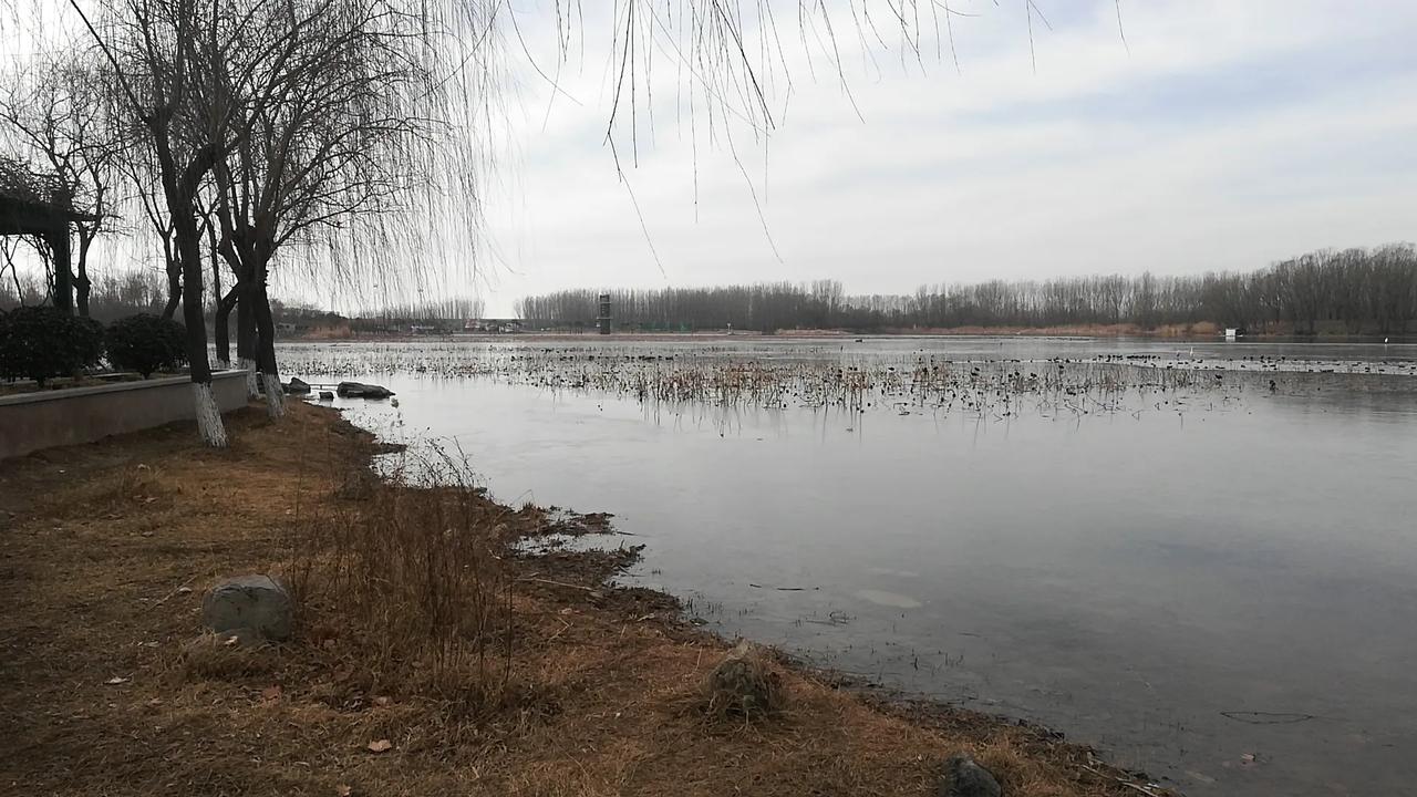 新春走基层｜满载喜与盼 归乡赴春约