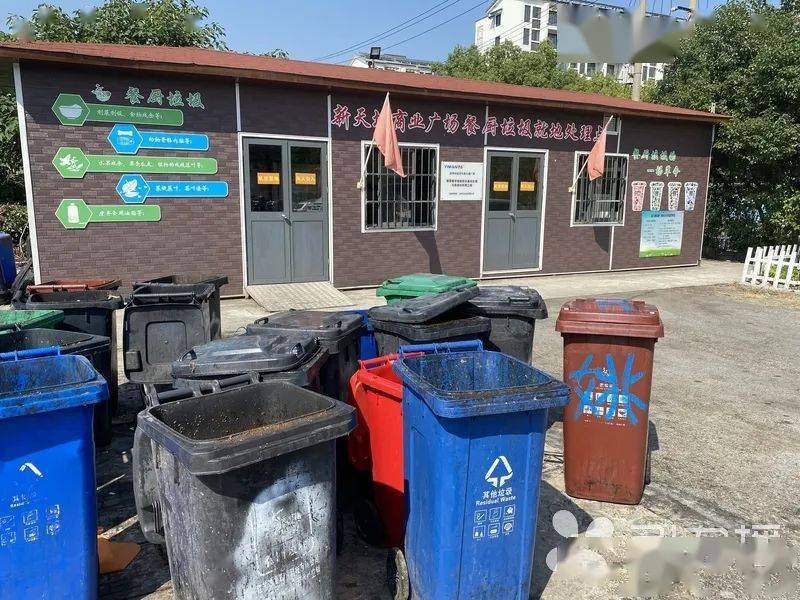 第一观察 | “千年大计”里的政绩观