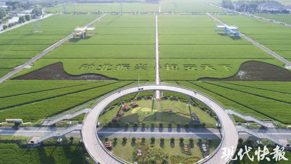 珠海港发布2023年ESG报告 战略引领高效绿色发展
