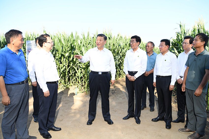 习近平：聚焦主责主业深化改革创新加强自身建设 以高质量审计监督护航经济社会高质量发展