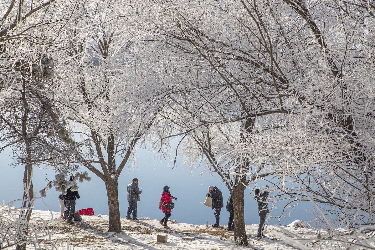 热力四射！我国南方冰雪消费呈现新亮点