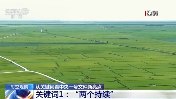 中央一号文件丨中央农办主任韩文秀：抓粮食生产必须立足抗灾夺丰收