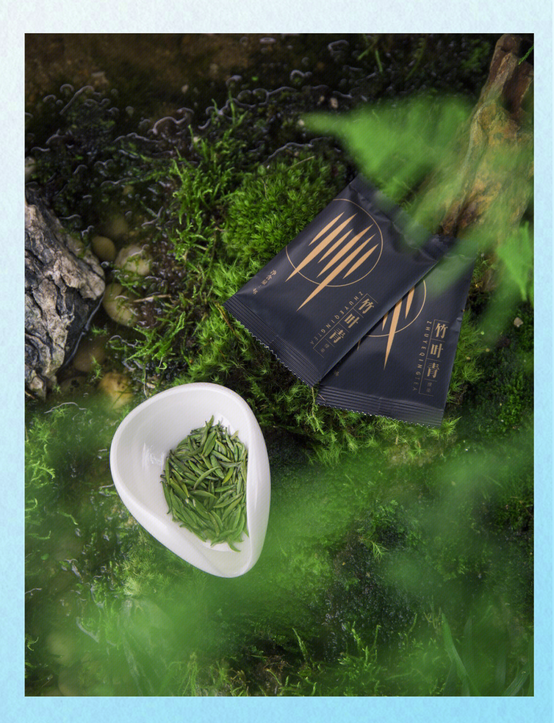 竹叶青上新彩罐系列 打造多元春茶选择