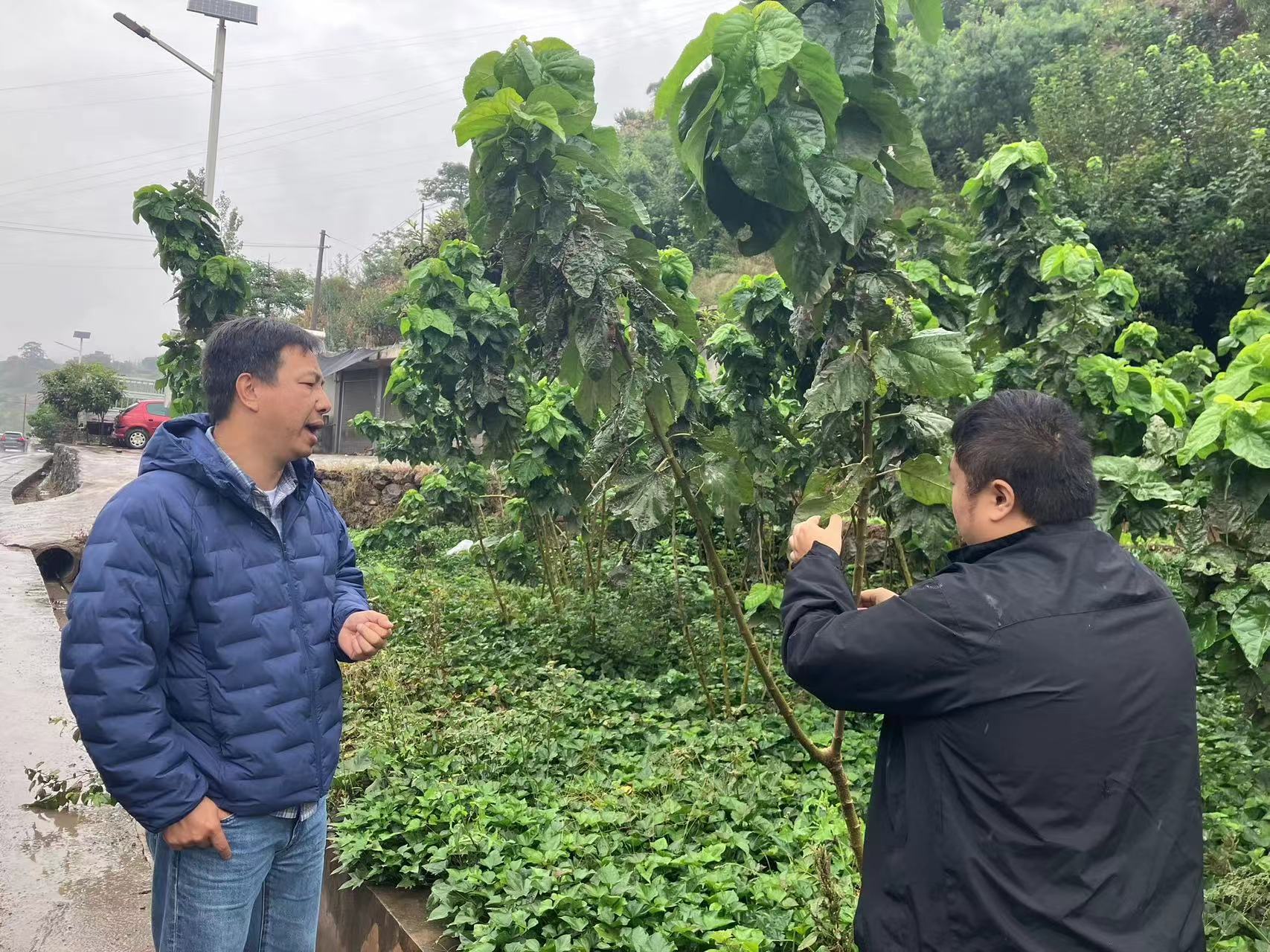 山东证监局深化常态化走访机制 “问诊把脉”助推上市公司高质量发展