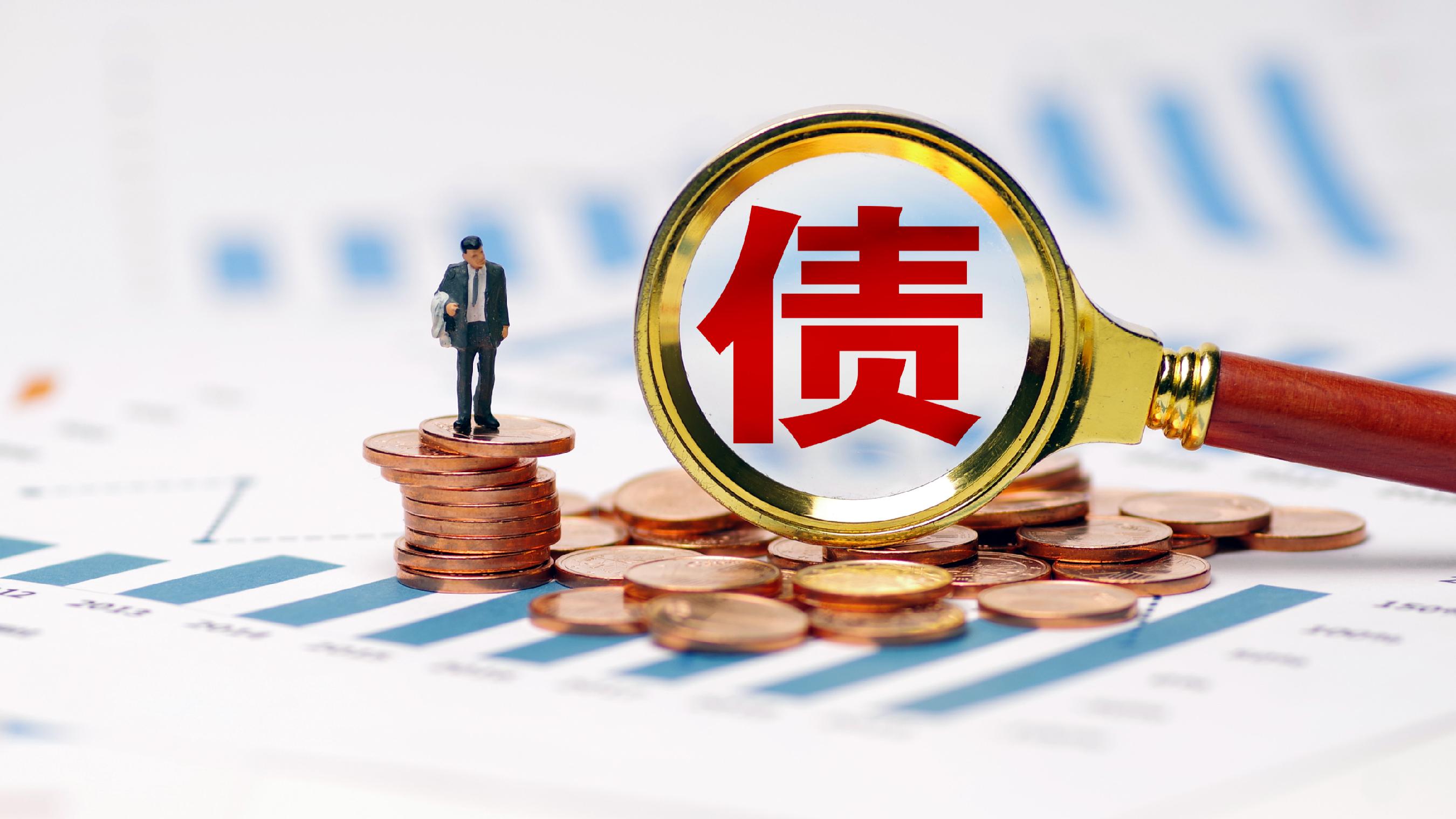 景顺长城中债0-3年国开行债券指数A,景顺长城中债0-3年国开行债券指数C: 景顺长城中债0-3年国开行债券指数证券投资基金2025年第1号更新招募说明书
