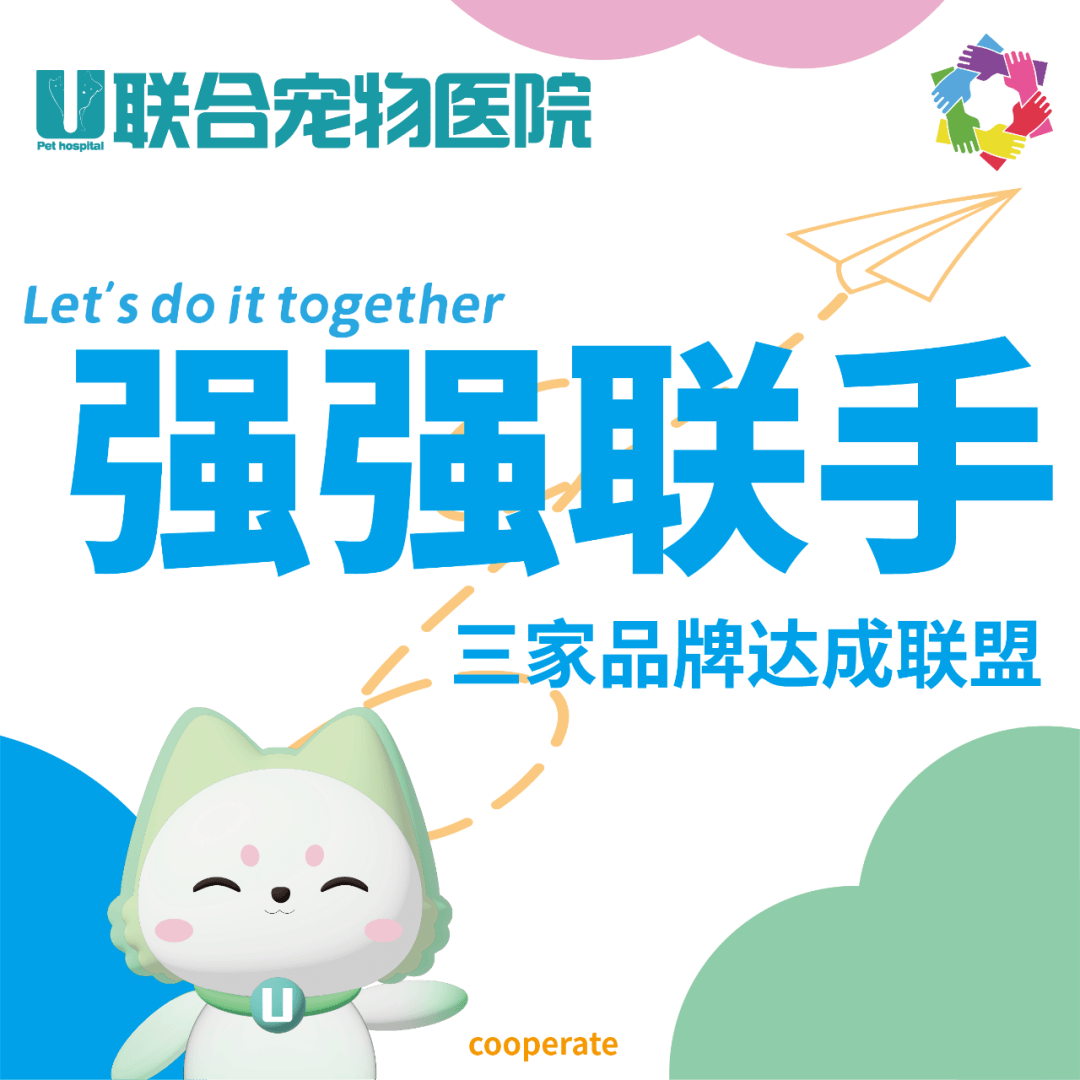 新华视点·关注宠物经济｜宠物医疗为何频现“糊涂账”？
