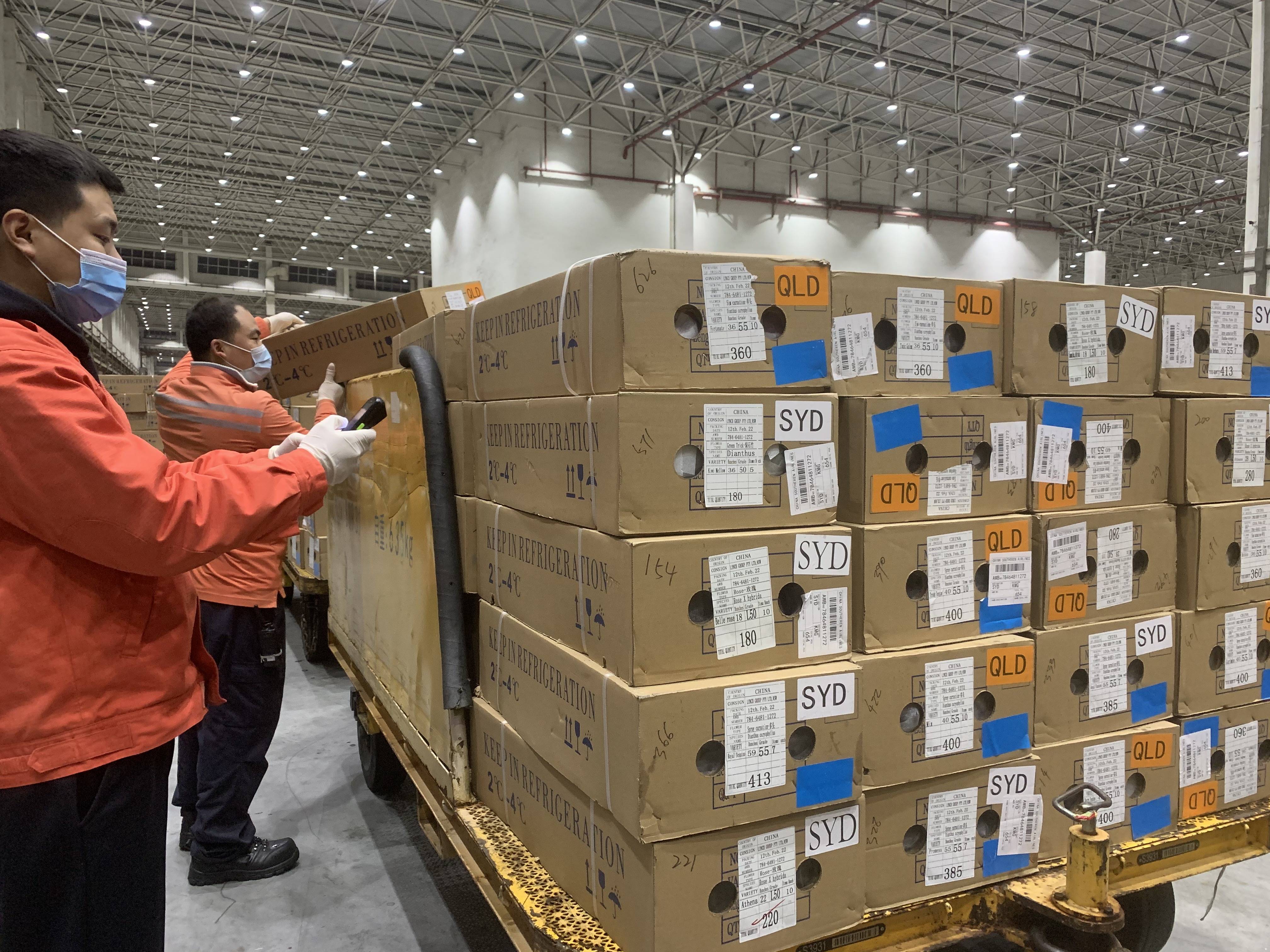 6月6日南航转债上涨0%，转股溢价率29.42%