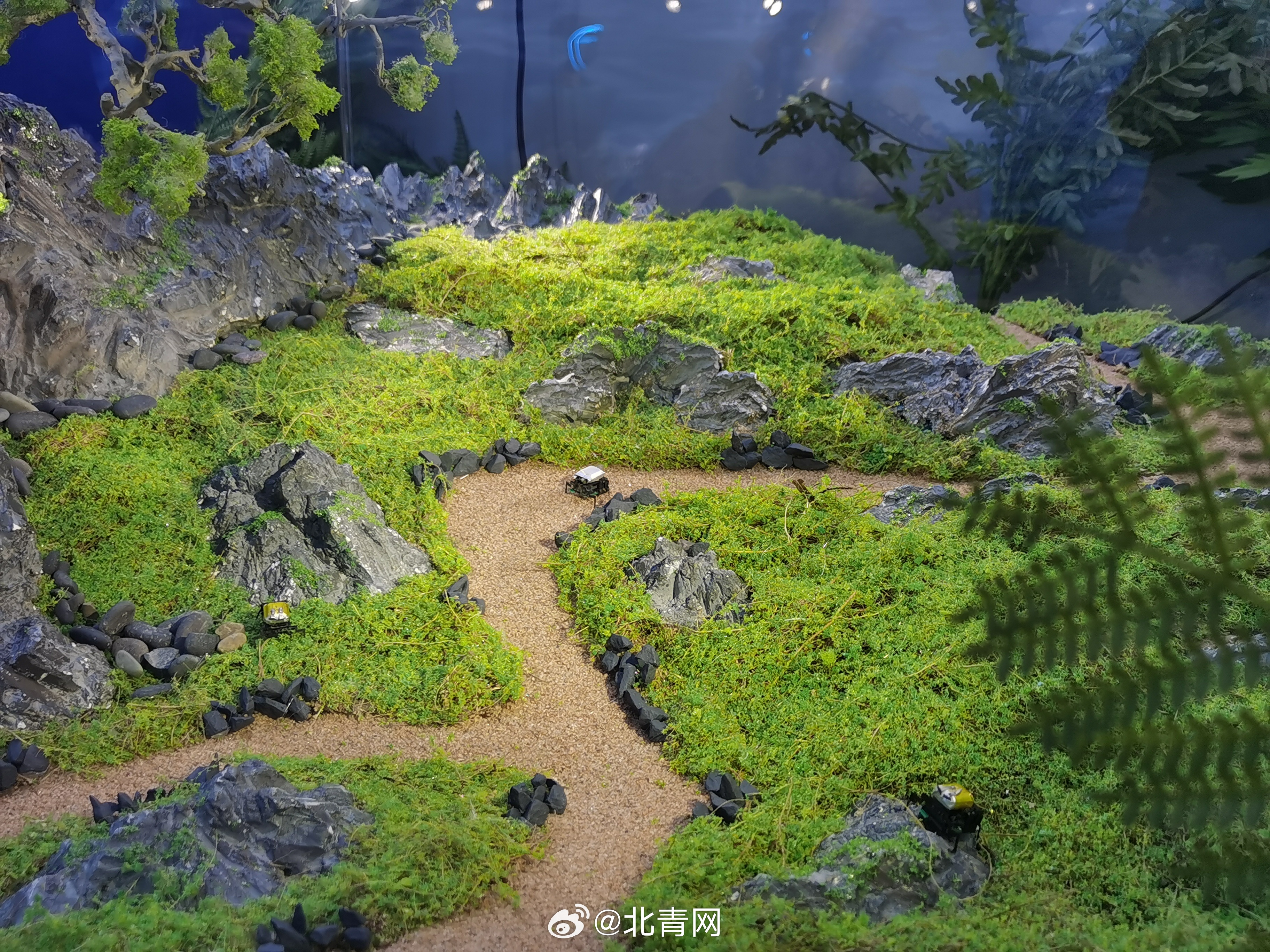 “AI+金融”创新实验室落户良乡大学城 北京中关村学院、中关村人工智能研究院与北京基金小镇共筑科技金融新生态