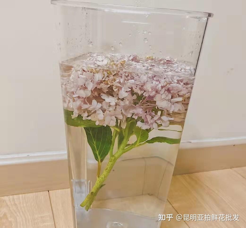 亚贝芙推出洗养护产品系列 抢占900亿洗护市场