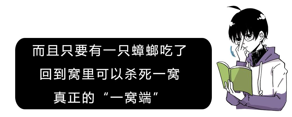 弹窗广告为何成了“打不死的小强”？