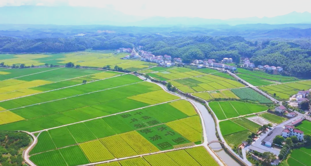 新技术、新成果、新渠道——从种子“双交会”看我国种业新趋势
