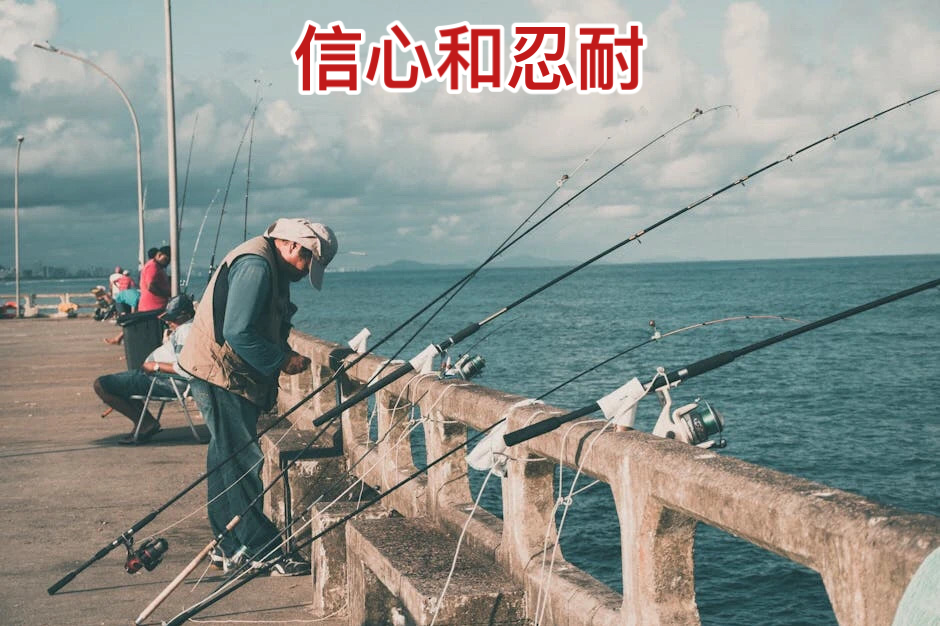 “9・24新政”一周年：从信心重塑到生态焕新