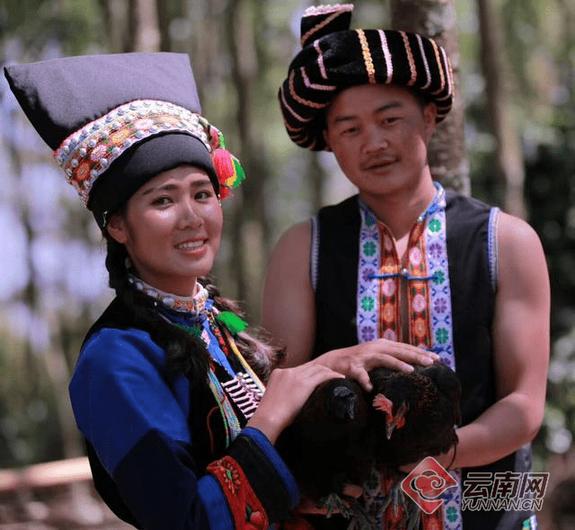 从“昔日马帮铃响”到“今日坦途如歌”——云南交通巨变纪事