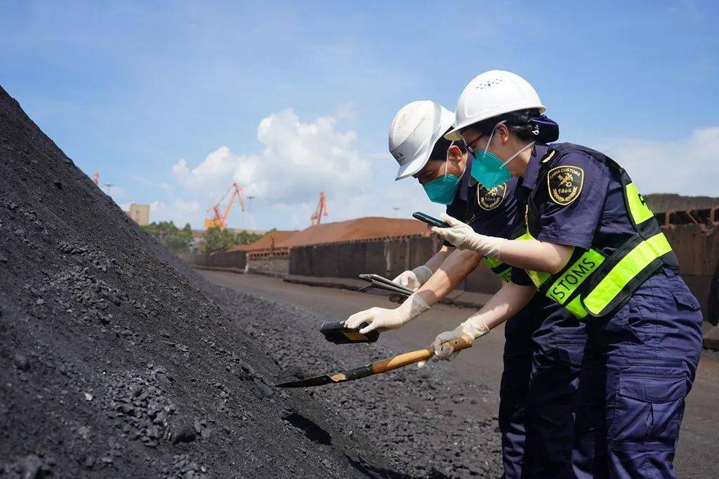 “十五五”时期海关将适度扩大进口