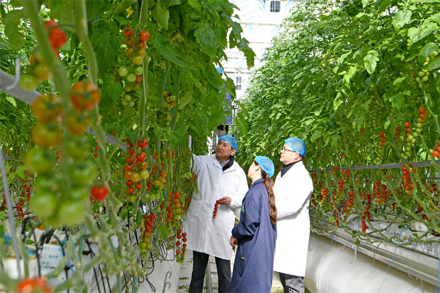 春节期间“菜篮子”产品供应有充分保障