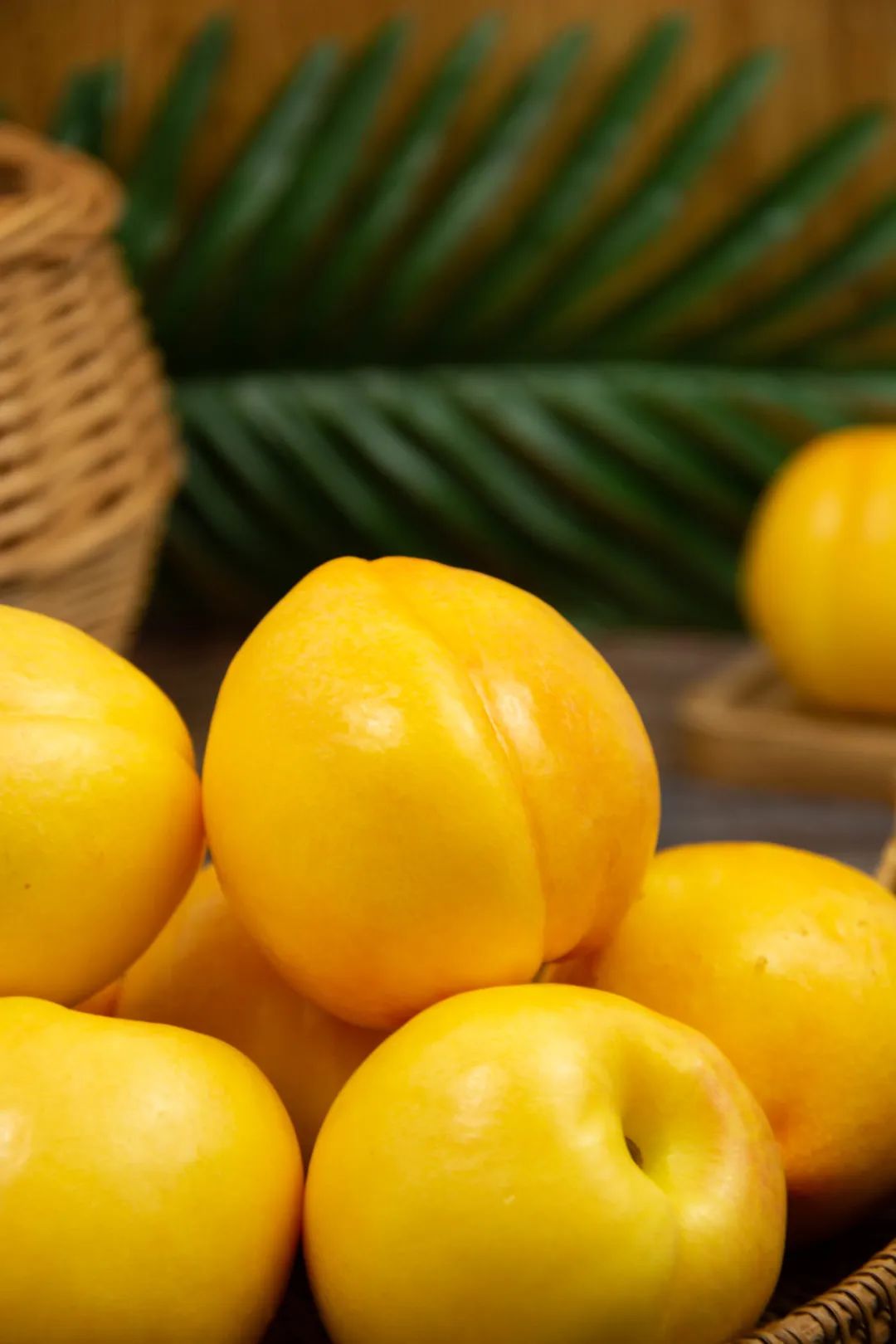 新华鲜报|五连增！地理标志“金名片”培育近万亿元“大产业”