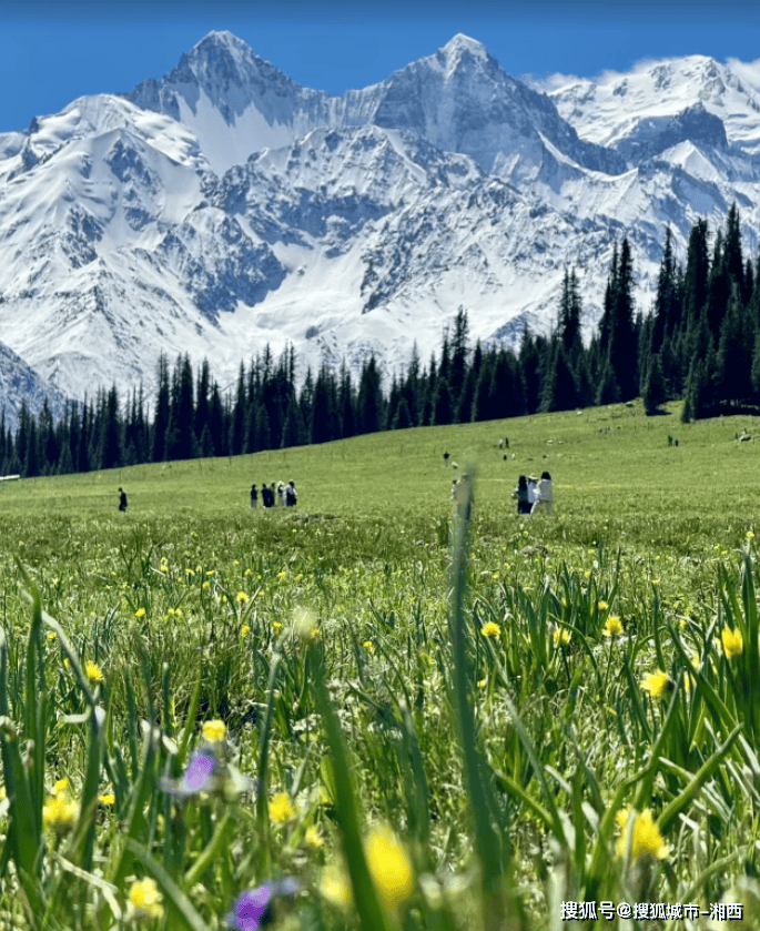 2025年新疆全年接待游客3.23亿人次 创历史新高