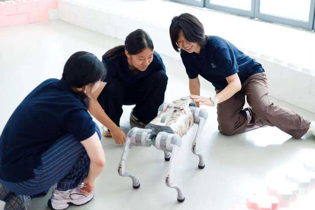 葵花药业：应对业绩短期承压挑战 多维布局聚焦长期价值提升