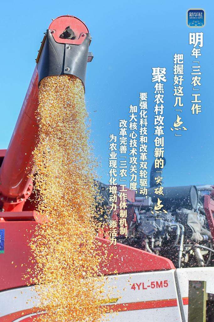 第一观察|着眼“十五五”,习近平总书记引领“三农”工作新开局