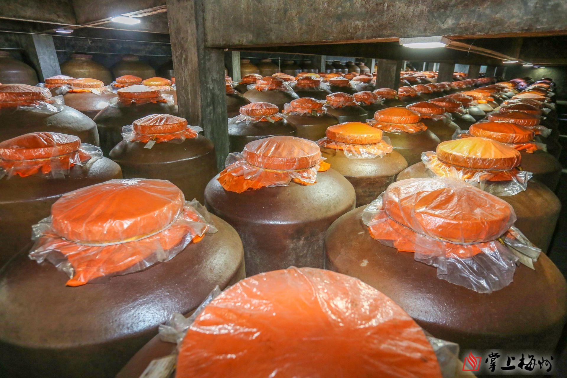 我国力争到2028年培育3个以上千亿级传统优势酒产区